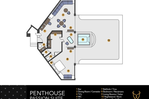 Penthouse Passion Suite